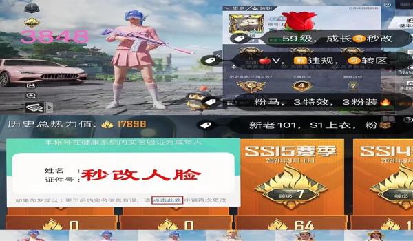 和平精英的吃鸡辅助器软件