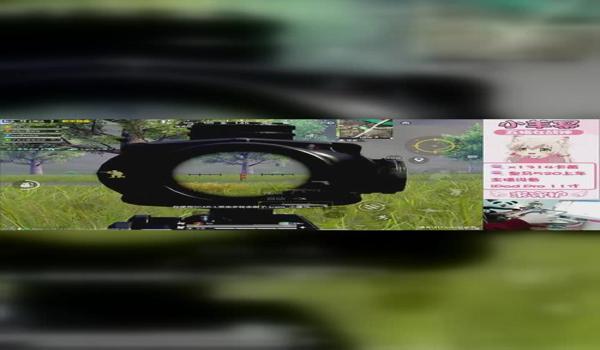 和平精英绵羊3.0辅助器