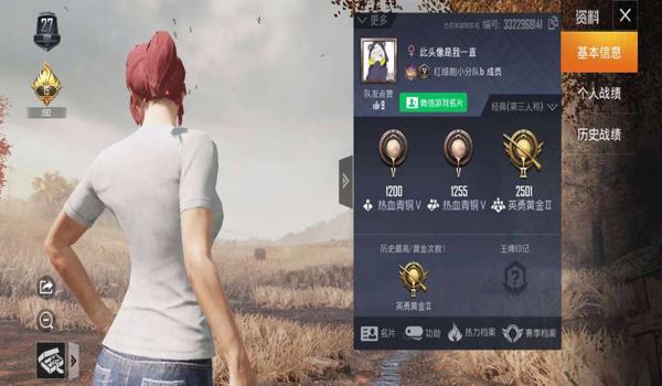 和平精英青铜辅助怎么用