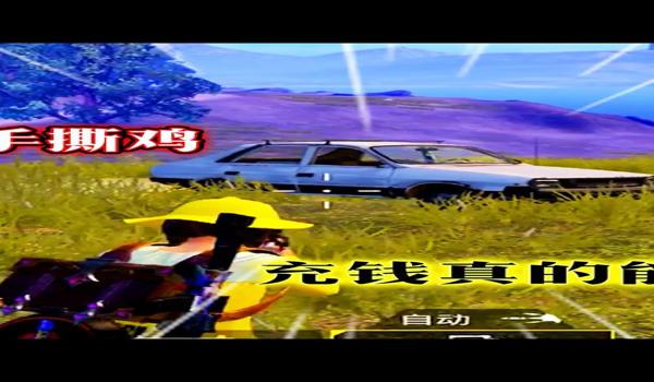 和平精英充钱版辅助器下载