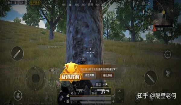 和平精英有走路辅助吗知乎