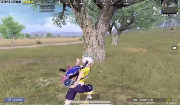 和平精英实时巡查辅助工具