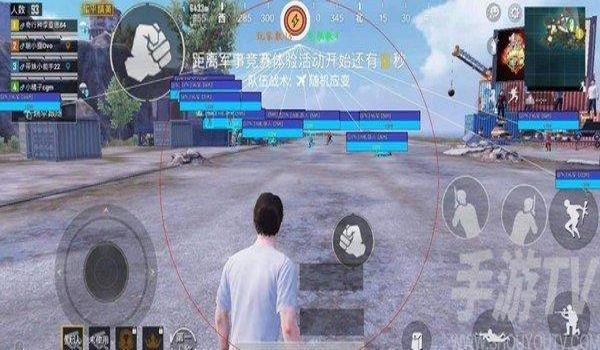 和平精英椰子美华辅助器