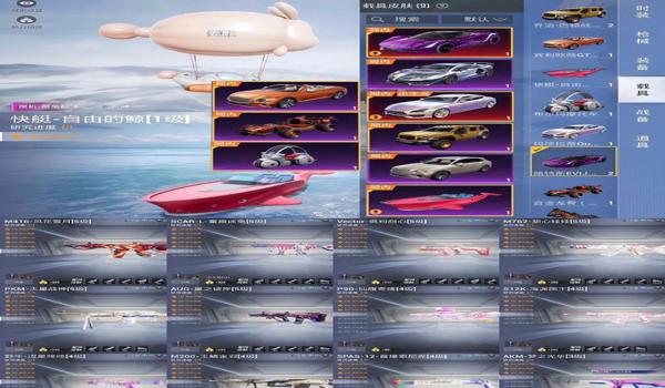 和平精英手游辅助器视频