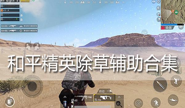 和平精英逆战辅助破解版