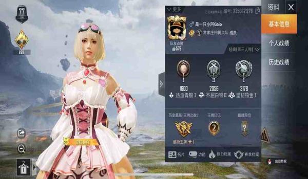 和平精英魔法辅助7.9