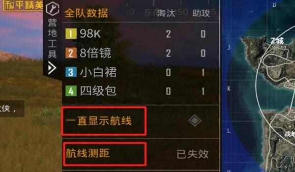 辅助和主力的区别和平精英