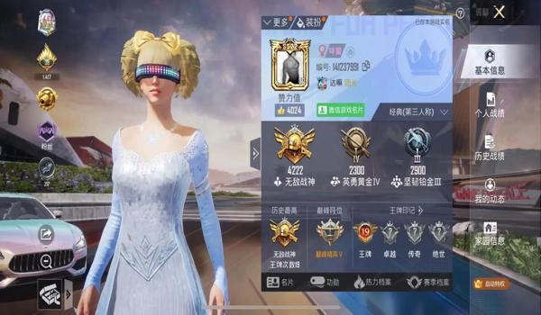 吃鸡和平精英辅助软件下载