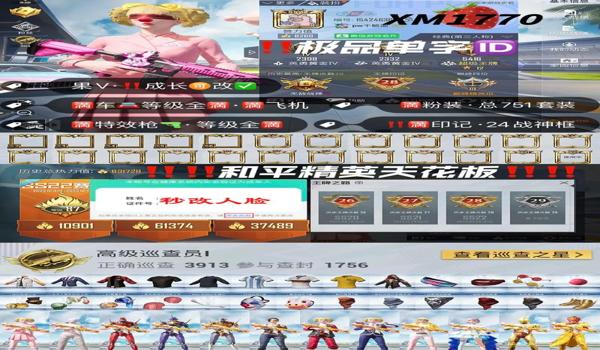 和平精英单子辅助器下载