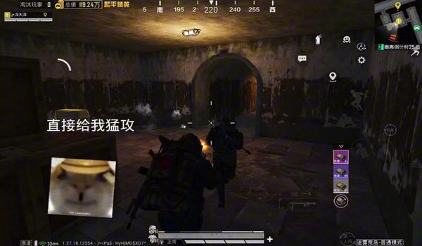 和平精英国际服辅助官网