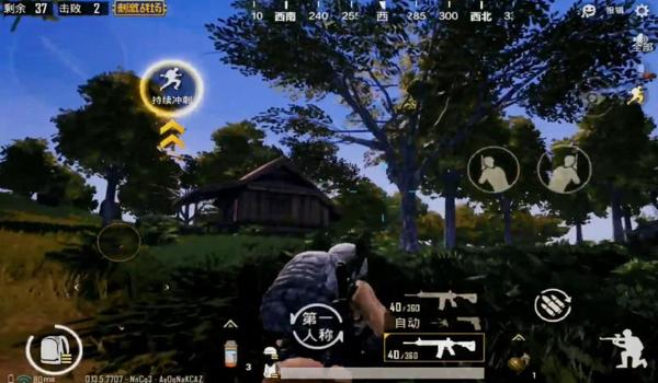 和平精英不死辅助是什么