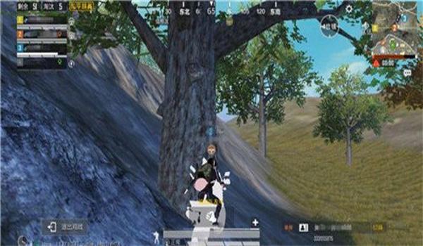 白开水辅助器和平精英