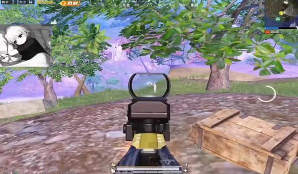 有没有和平精英除草辅助