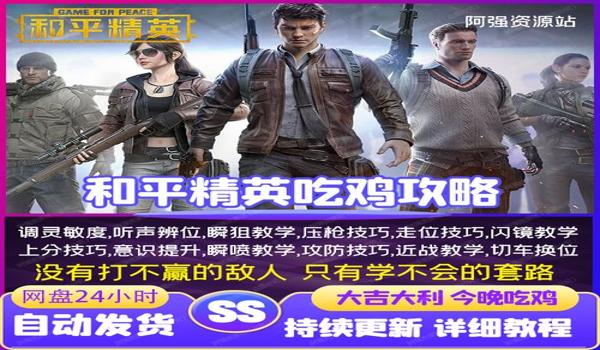 和平精英安装辅助软件