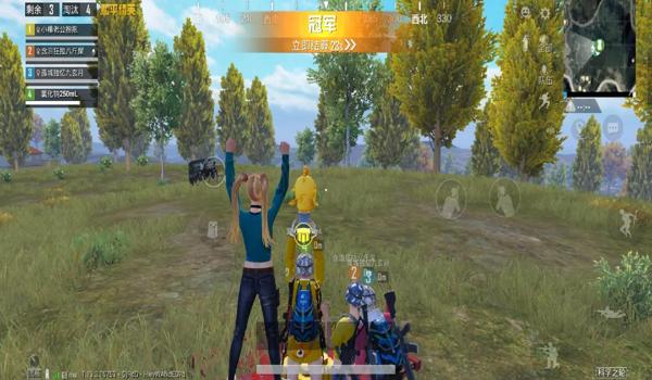 和平精英的游戏辅助在哪里