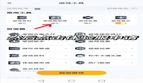 和平精英游戏内辅助器