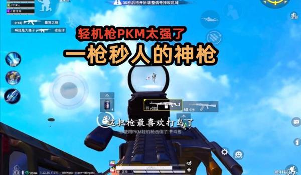 大神压枪集锦和平精英