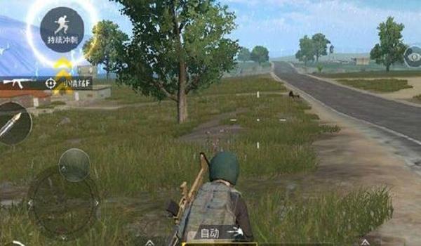 和平精英辅助不变态的软件