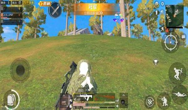 和平精英辅助cydia