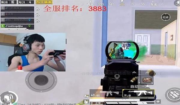 鲨鱼辅助器下载和平精英