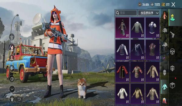 pubg国际服科技辅助