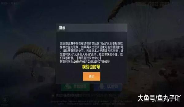 和平精英辅助永不封号