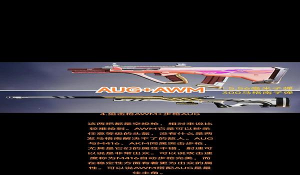 和平精英适合辅助的枪