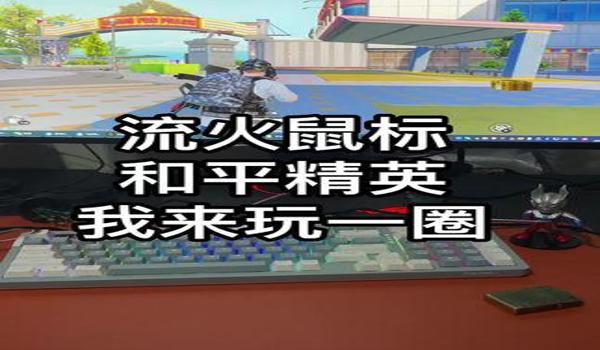 和平精英血手辅助怎么用