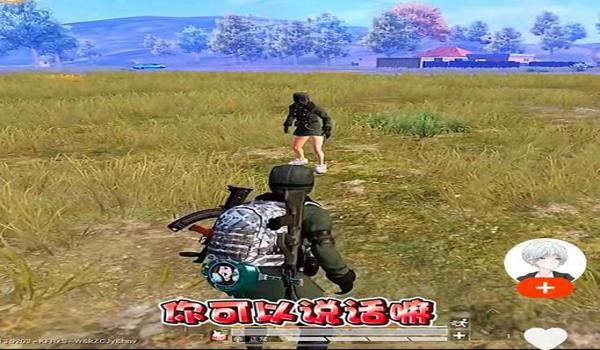 主播用的的辅助和平精英