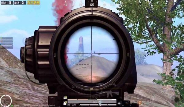 和平精英雨林压枪视频