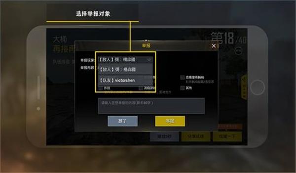 和平精英辅助数据怎么看