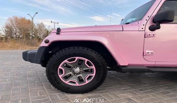 和平精英保时捷多功能辅助