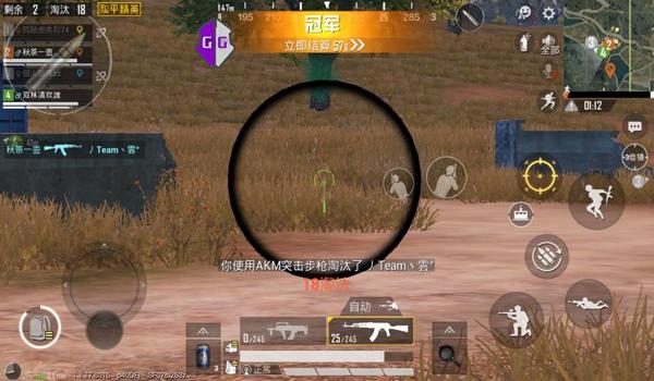 和平精英谪仙辅助稳定吗