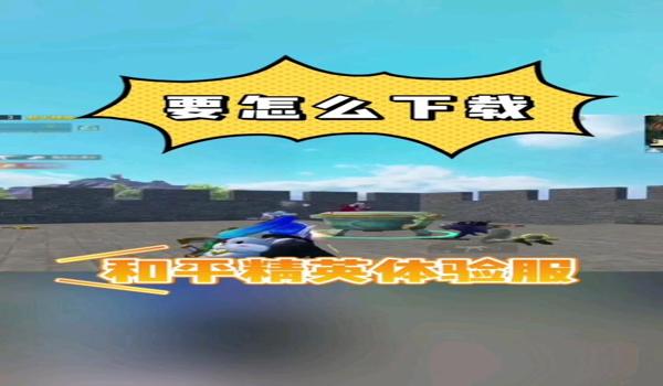 和平精英的辅助在哪里下载