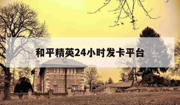 和平精英幻影辅助发卡网