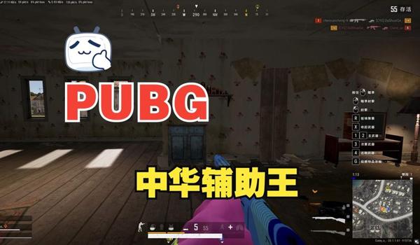 pubg直装科技辅助