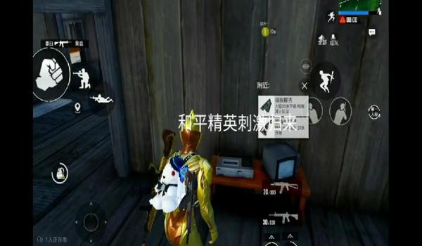 和平精英手游换装辅助器