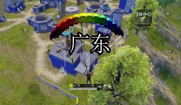 和平精英西瓜辅助865