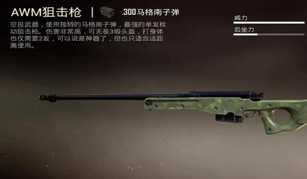 和平精英狙击枪爆头辅助器