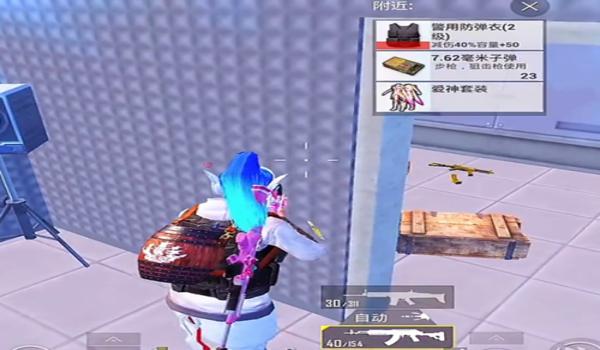 主播内部辅助和平精英