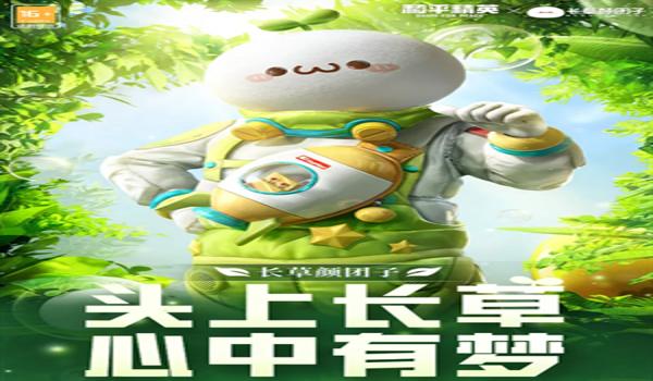 和平精英老鼠辅助怎么用