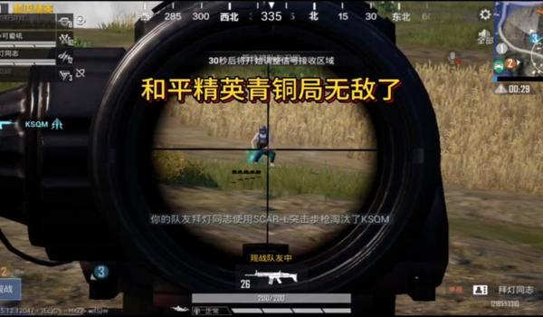 青铜辅助器和平精英哪个好