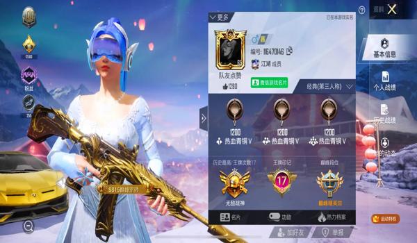 如何自己做和平精英辅助